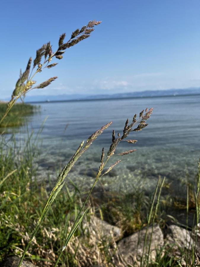 Kling Am See Фрідріхсгафен Екстер'єр фото